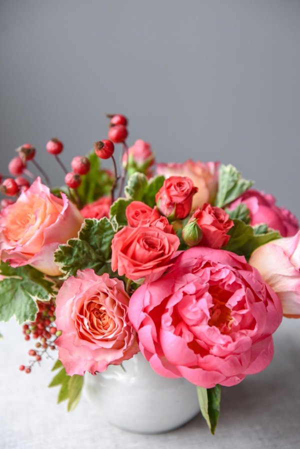 коралловые пионы