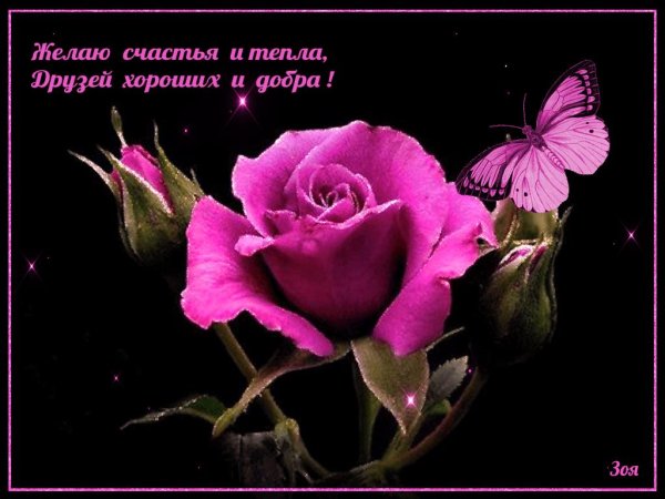 пожелания женщине красивые