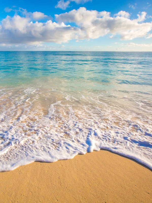 океан и пляж