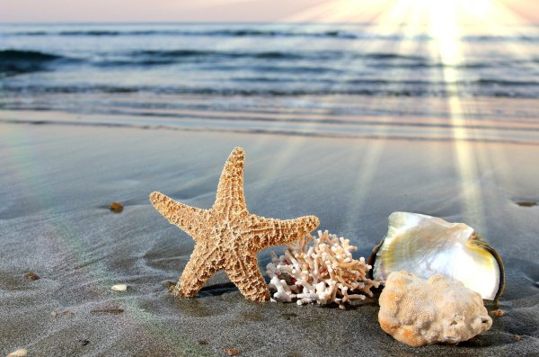 морская тематика