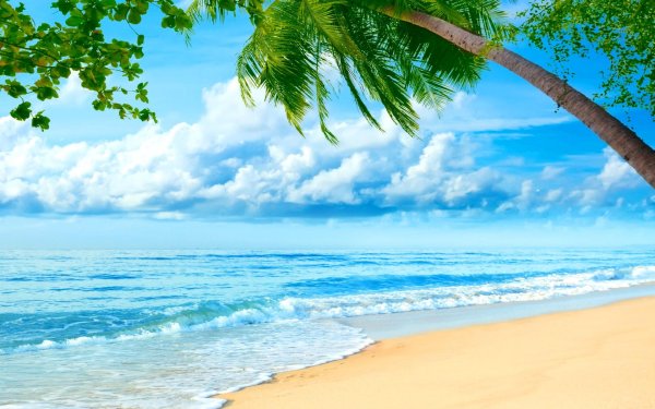 фон моря и пляжа