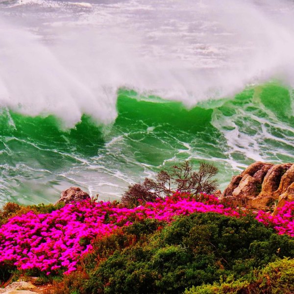 красивые морские пейзажи