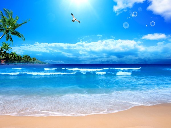 красивое море