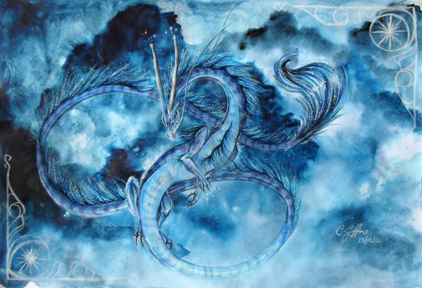 синие драконы