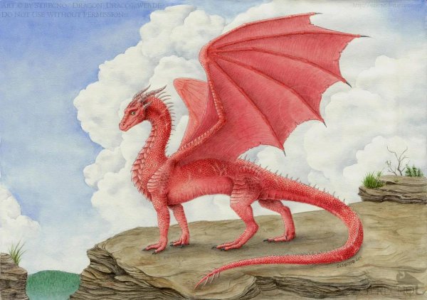 розовый дракончик