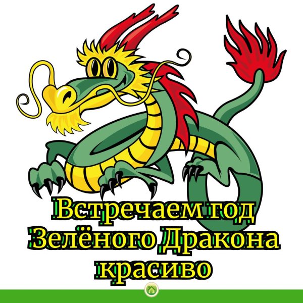 года дракона
