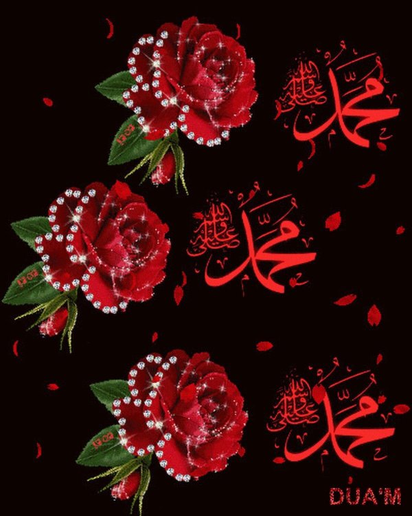 исламские розы