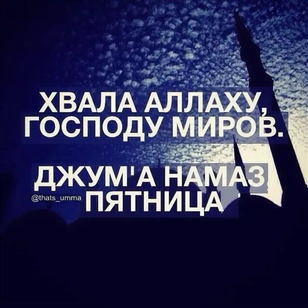 хвала аллах1у господу миров