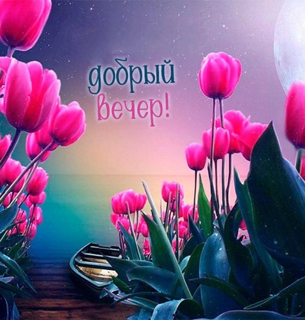 с добрый вечер
