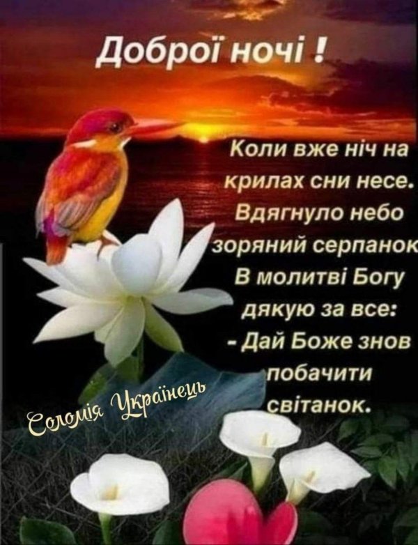 добрий вечір