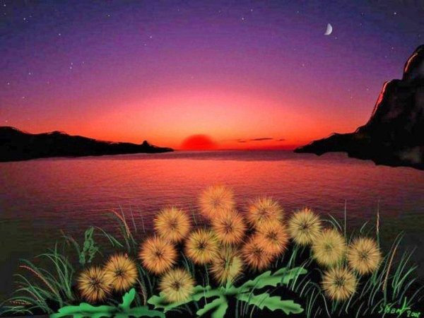 одуванчик на закате