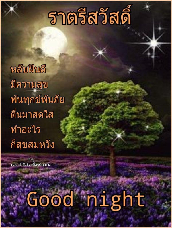 good night and sweet dreams