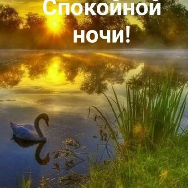 открытки спокойной ночи с природой новые