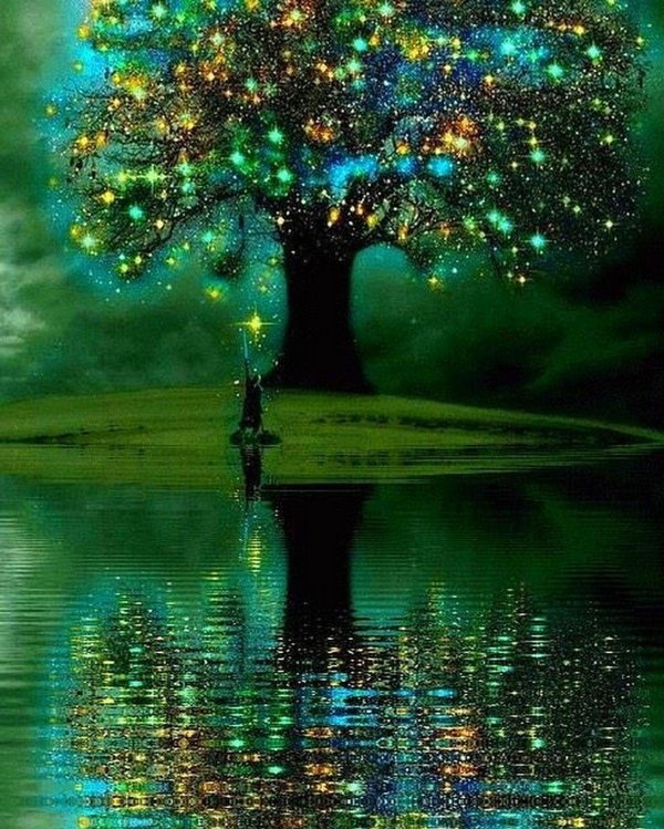 магическое дерево