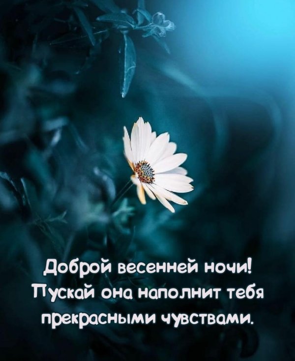 доброй ночи весна