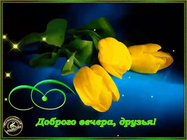 с добрым вечером открытка