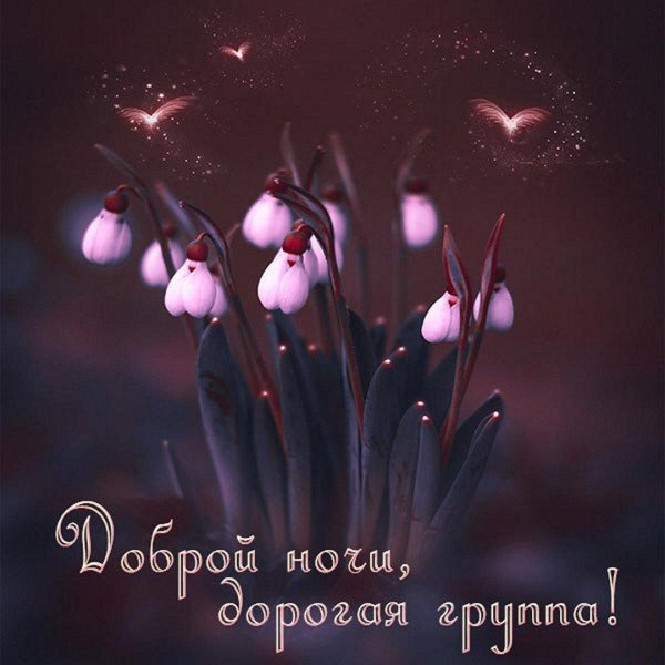 спокойная ночи