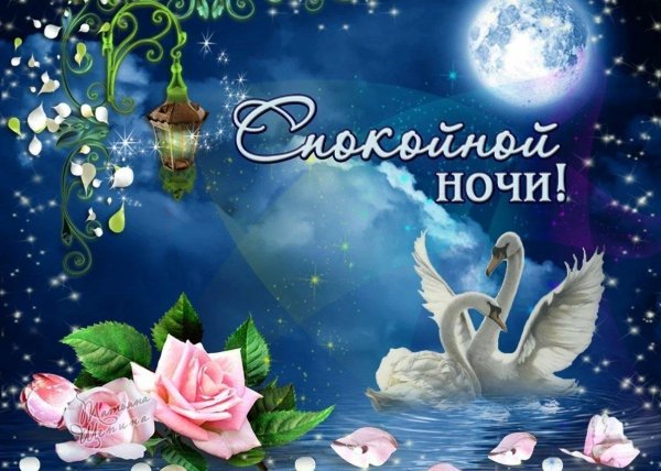 спокойная ночи