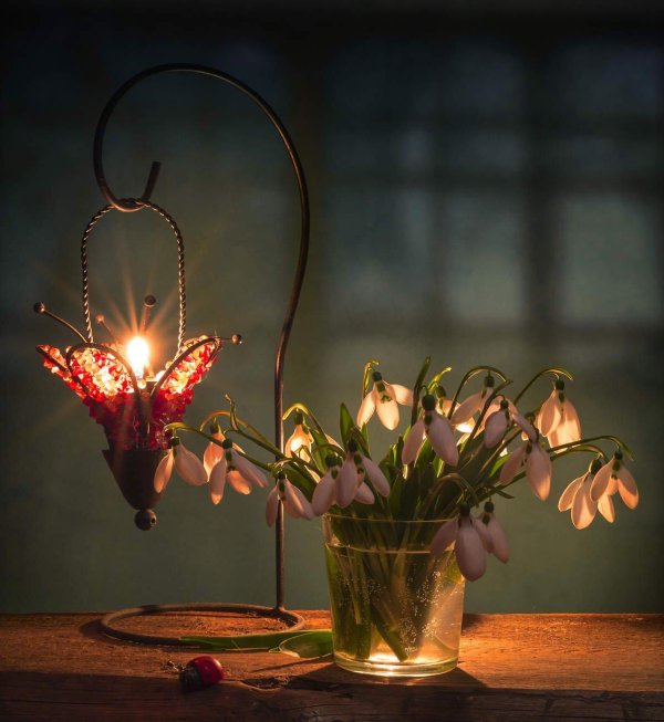 натюрморт весенний