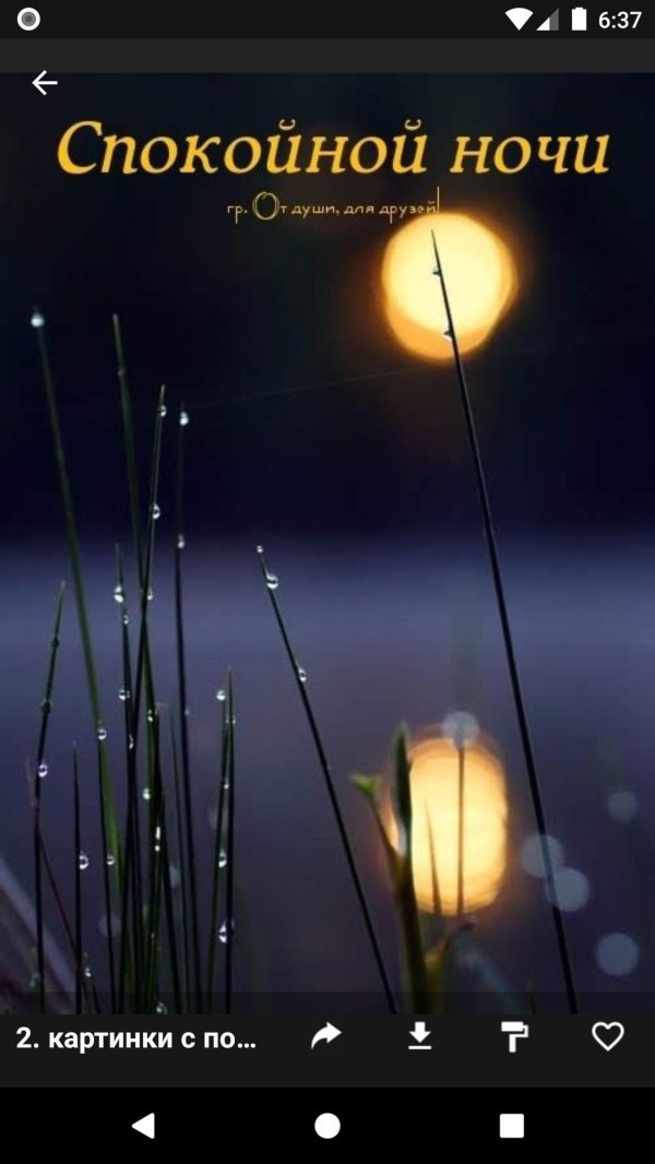 спокойная ночи