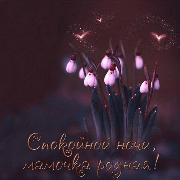 открытки спокойной ночи до завтра