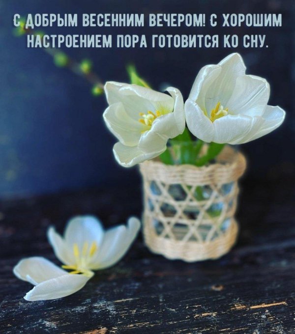 доброго веченнего вечерка