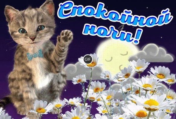 открытка спокойной ночи