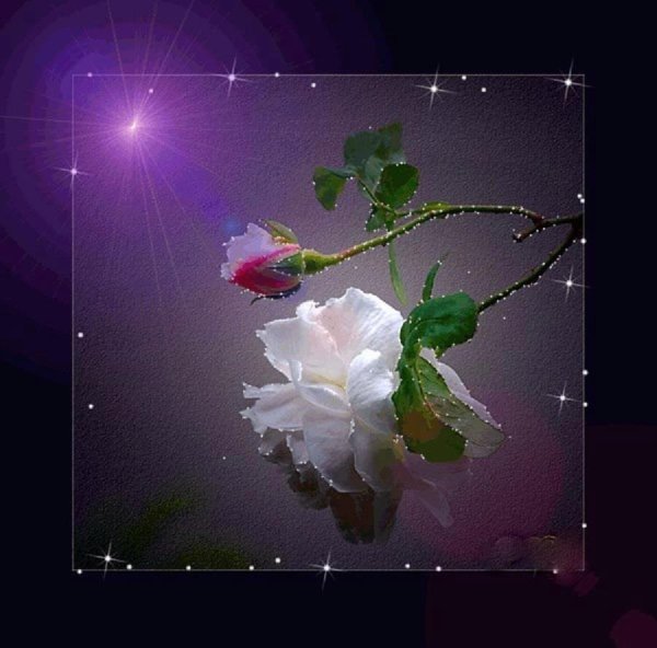 анимационные цветы