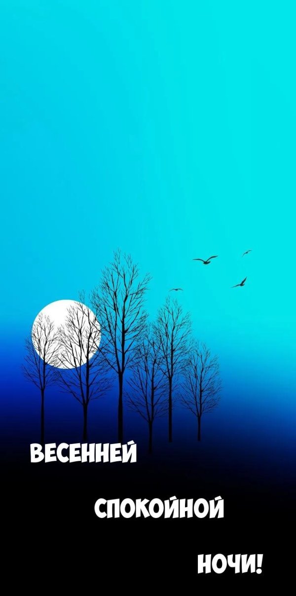 спокойная ночи