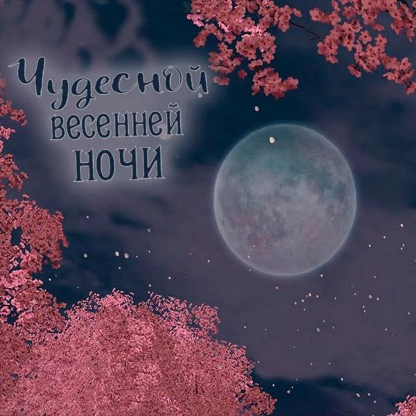 весенней ночи