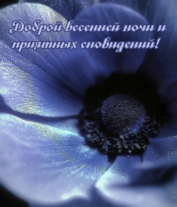 приятного сновидения