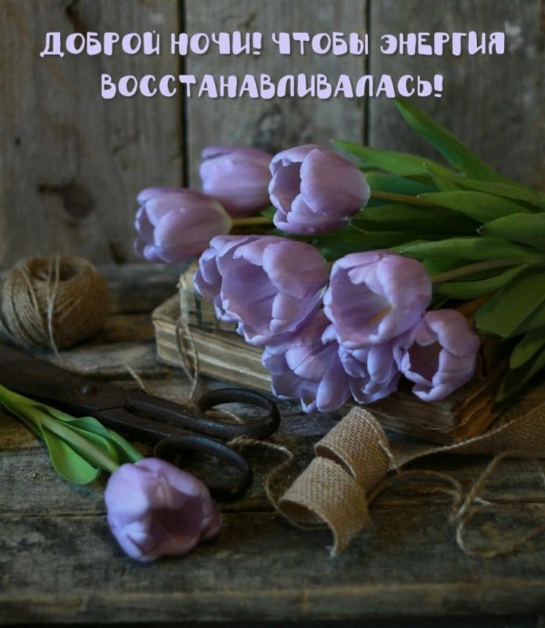 весенние цветы вечером