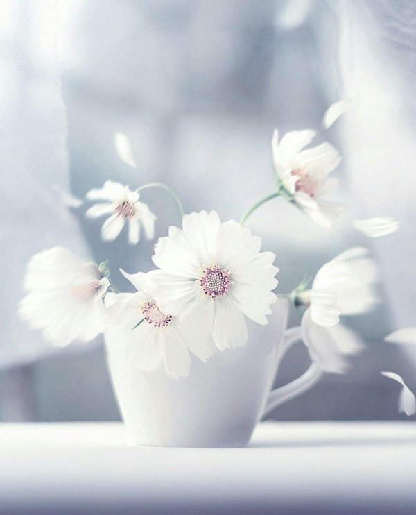 нежного утра