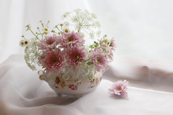 нежный букетик