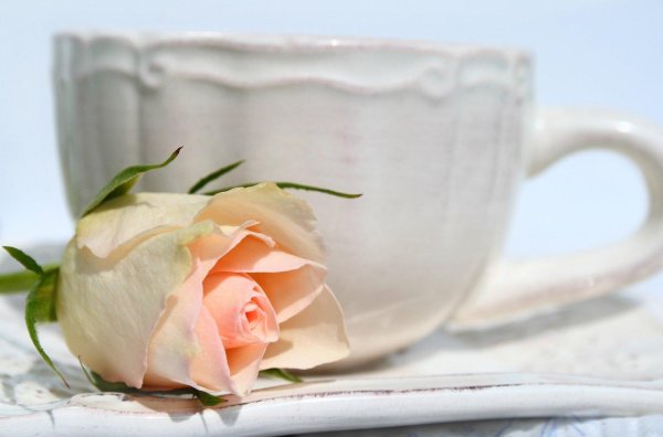 нежного утра