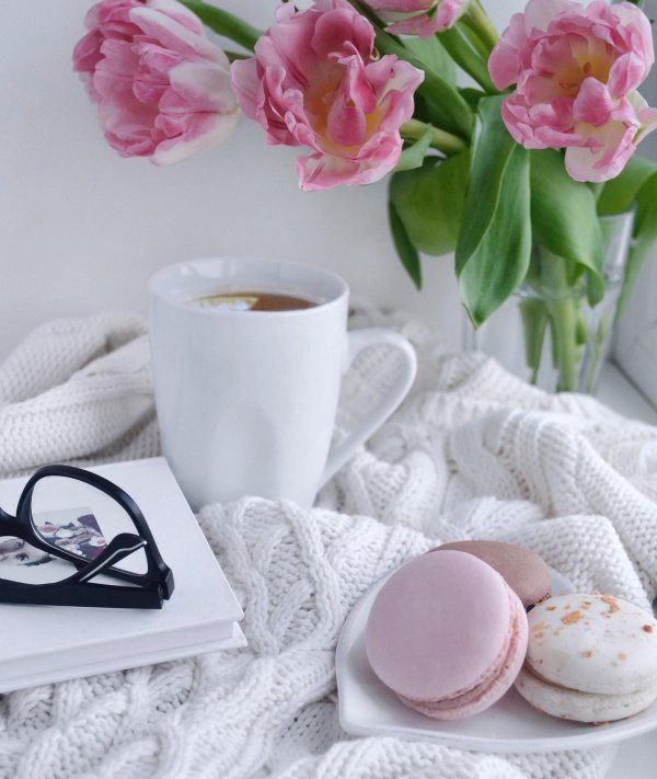 нежного утра вторника