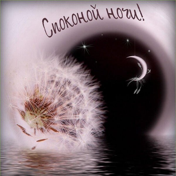 добрая ночь