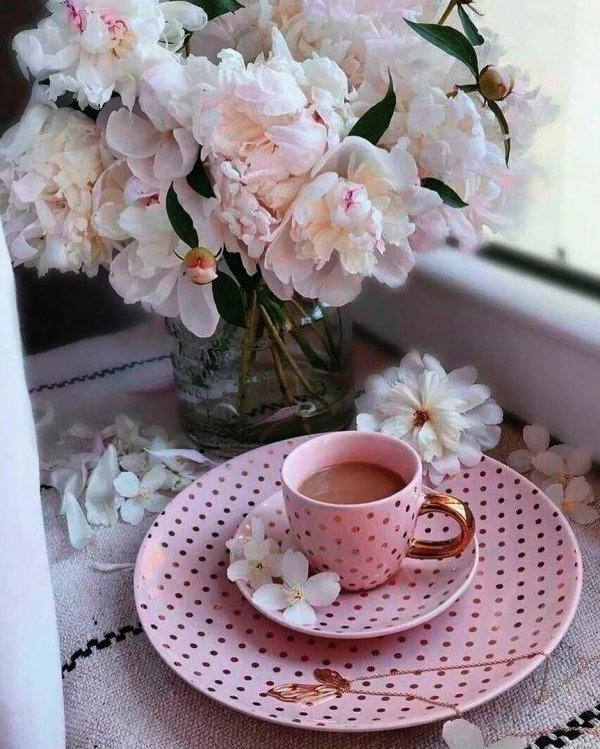 утренние цветы