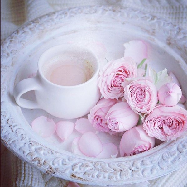 нежного утра