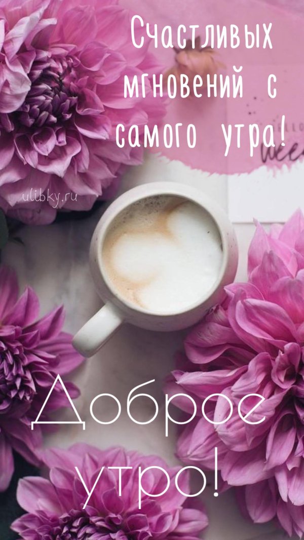 доброго утра стильные