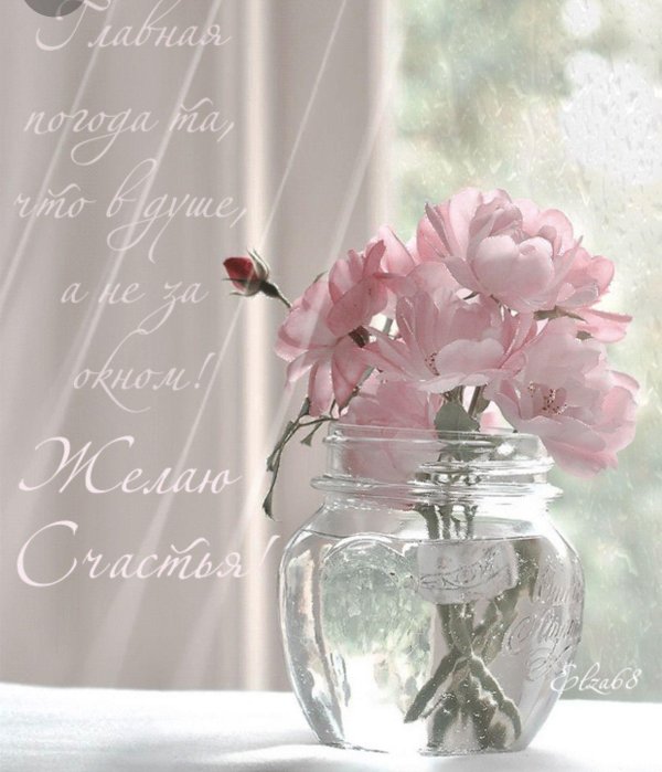 стеклянная банка для цветов