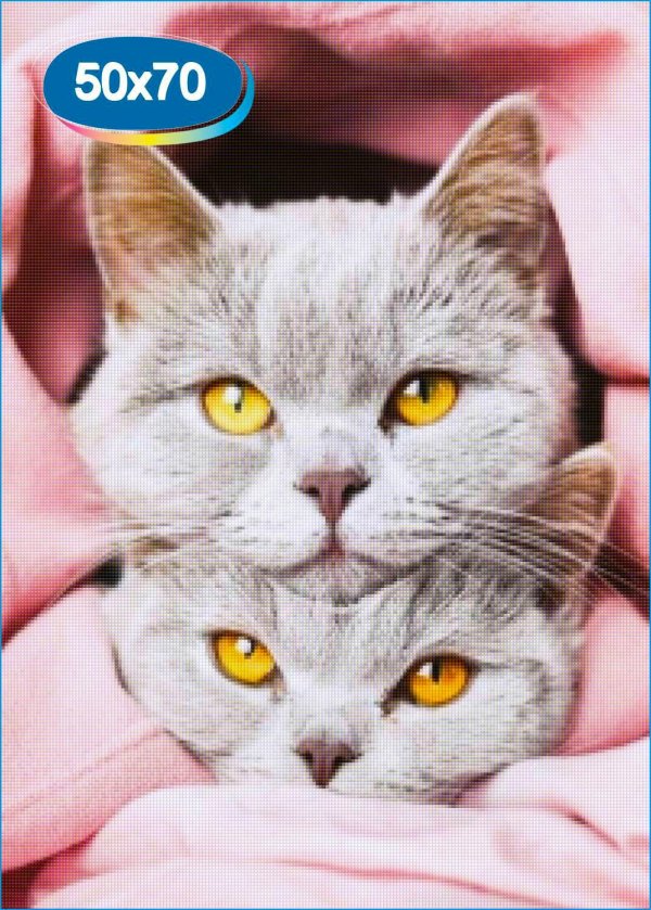 красивая кошечка