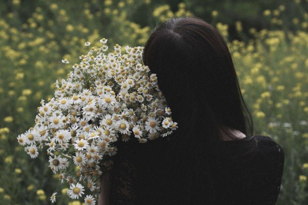 с ромашками