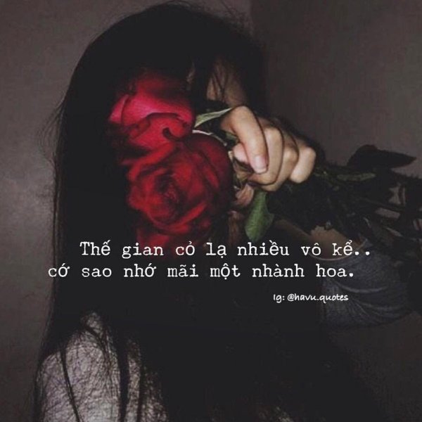 розы женщине