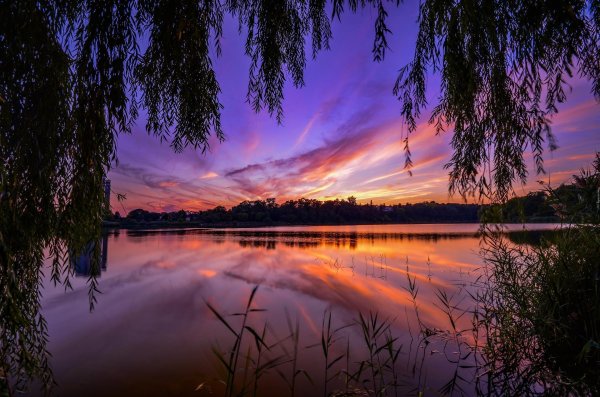 вечерние пейзажи