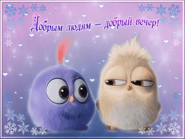 с добрым вечером прикольные