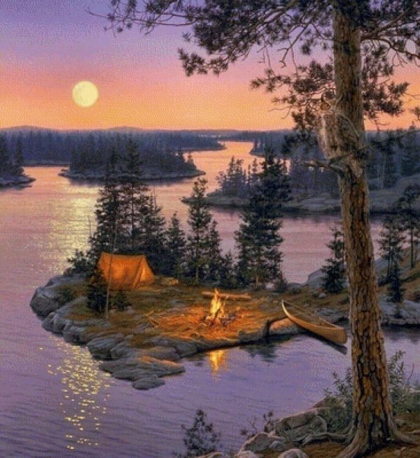 даррелл буш картины