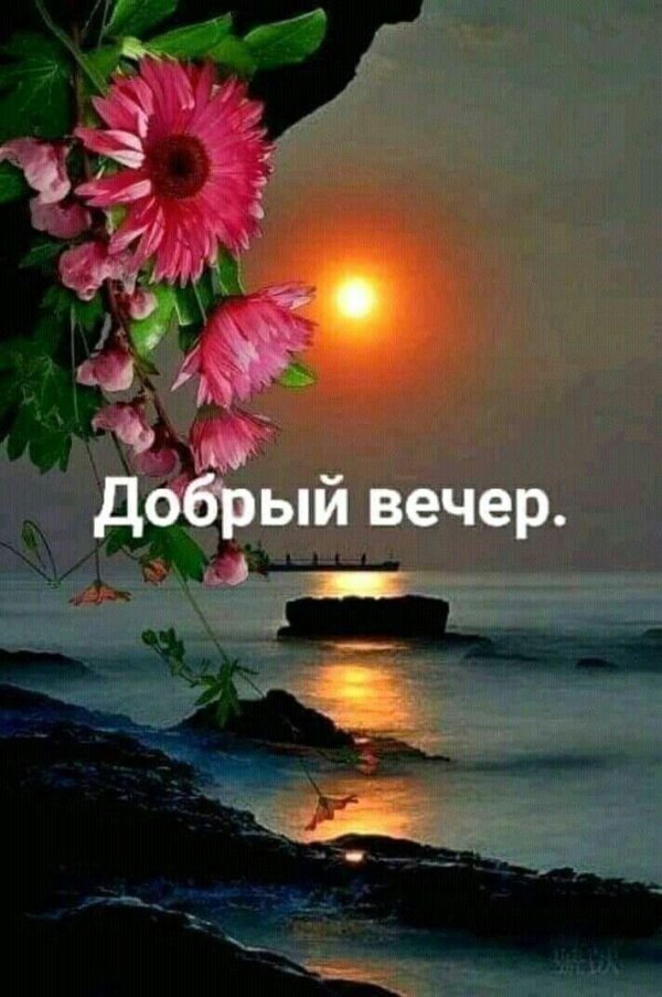 добр вечер
