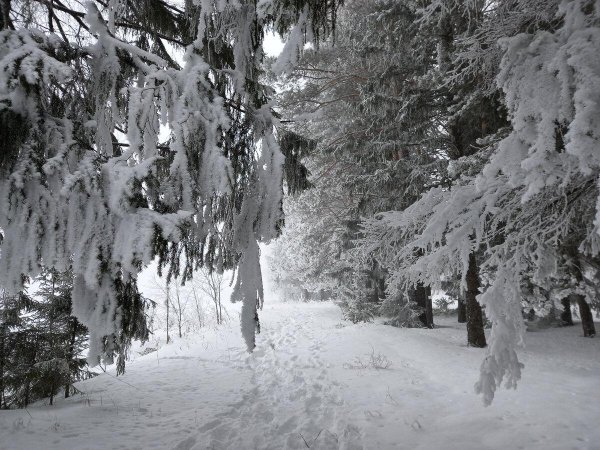 зимние пейзаж