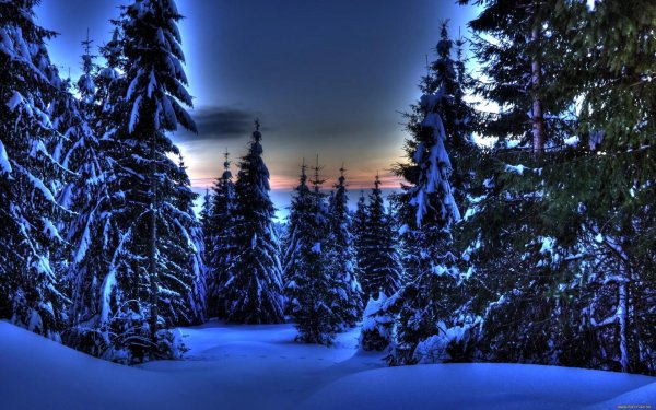 зимняя природа